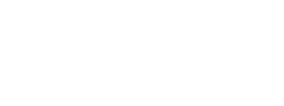 lion-1-min